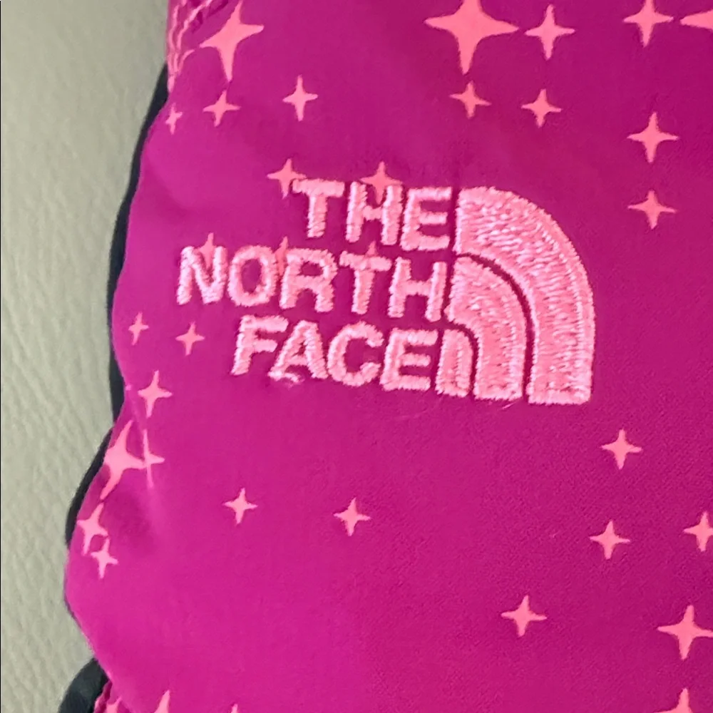 The North Face Fuchsia and Charcoal Gloves Hyvent